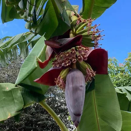 Quinta Da Sobreira Салир-де-Матуш