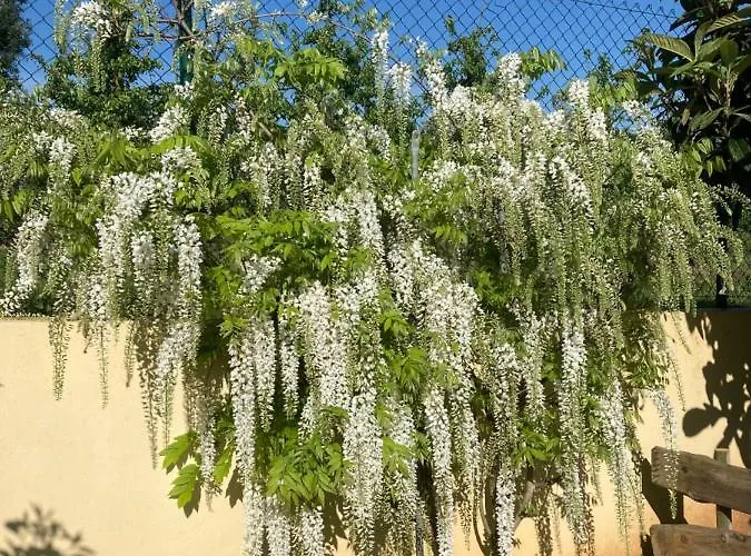 Quinta Da Sobreira ベッド・アンド・ブレックファスト Salir de Matos